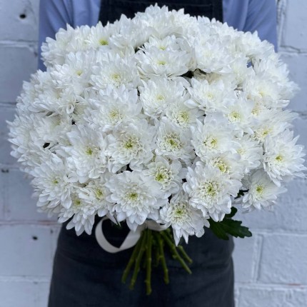 Белая кустовая хризантема - купить с доставкой в в Феодосию