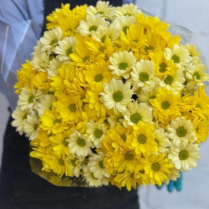 желтая кустовая хризантема - купить с доставкой в в Феодосию